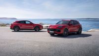 Cayenne 3